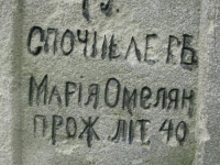 Wierzbica_231