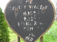 Wierzbica_234