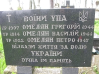 Wierzbica_239