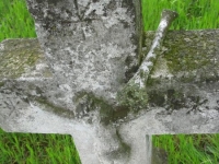 Wierzbica_243