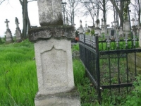 Wierzbica_245