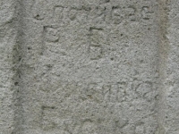 Wierzbica_246