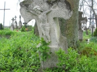 Wierzbica_256