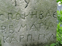 Wierzbica_257
