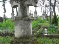 Wierzbica_258