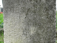Wierzbica_259