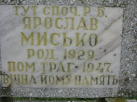 Wierzbica_262