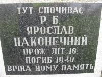 Wierzbica_263