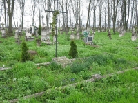Wierzbica_264