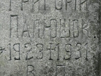 Wierzbica_269