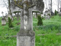 Wierzbica_270