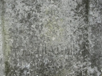 Wierzbica_271