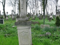 Wierzbica_272