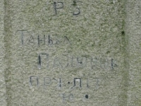 Wierzbica_273
