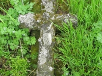 Wierzbica_274