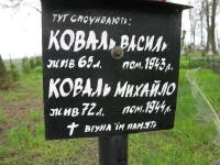 Wierzbica_276
