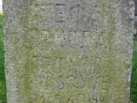 Wierzbica_279
