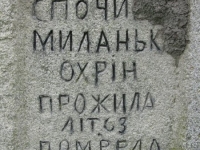 Wierzbica_282