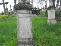 Wierzbica_286