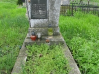 Wierzbica_290