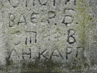 Wierzbica_293
