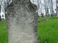 Wierzbica_297
