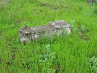 Wierzbica_299