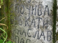Wierzbica_300
