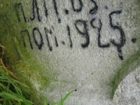 Wierzbica_301