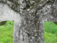 Wierzbica_305