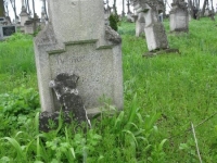 Wierzbica_307