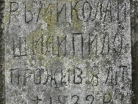 Wierzbica_311