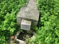 Wierzbica_573