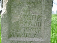 Wierzbica_578