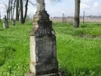 Wierzbica_579