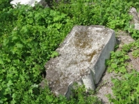 Wierzbica_585
