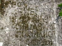 Wierzbica_587
