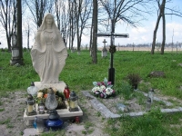 Wierzbica_593