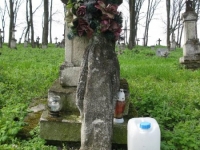 Wierzbica_596