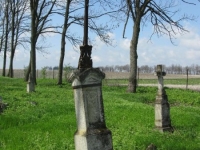 Wierzbica_600