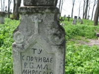 Wierzbica_604