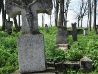 Wierzbica_608