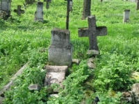 Wierzbica_610