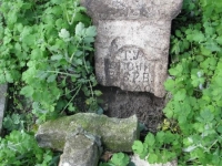 Wierzbica_611