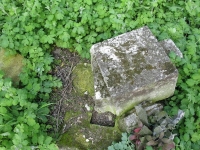 Wierzbica_614
