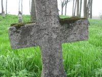 Wierzbica_615
