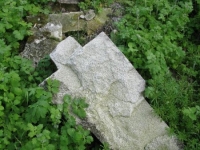 Wierzbica_616