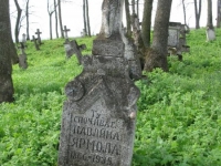 Wierzbica_617