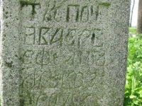 Wierzbica_622