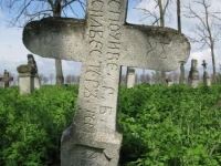 Wierzbica_624